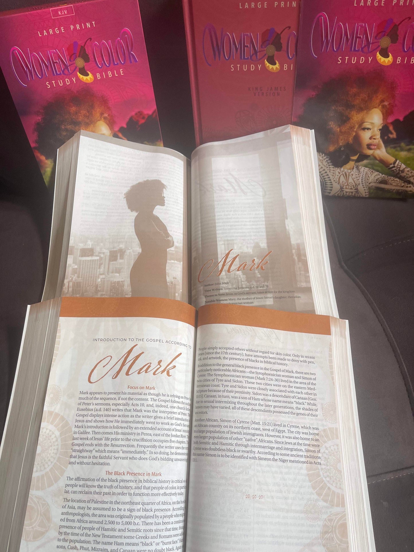 The New Women of Color Study Bible - Paperback