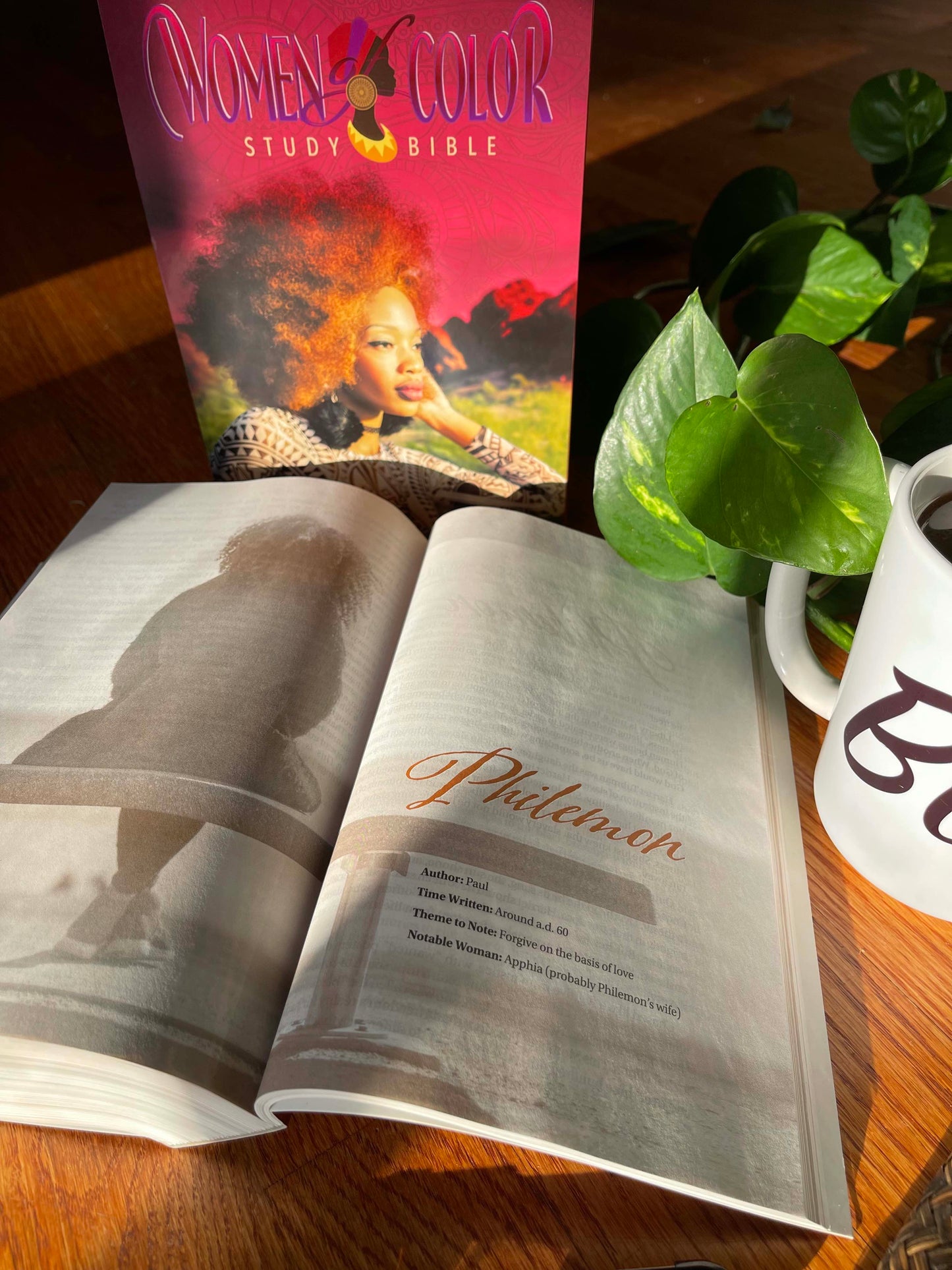 The New Women of Color Study Bible - Paperback
