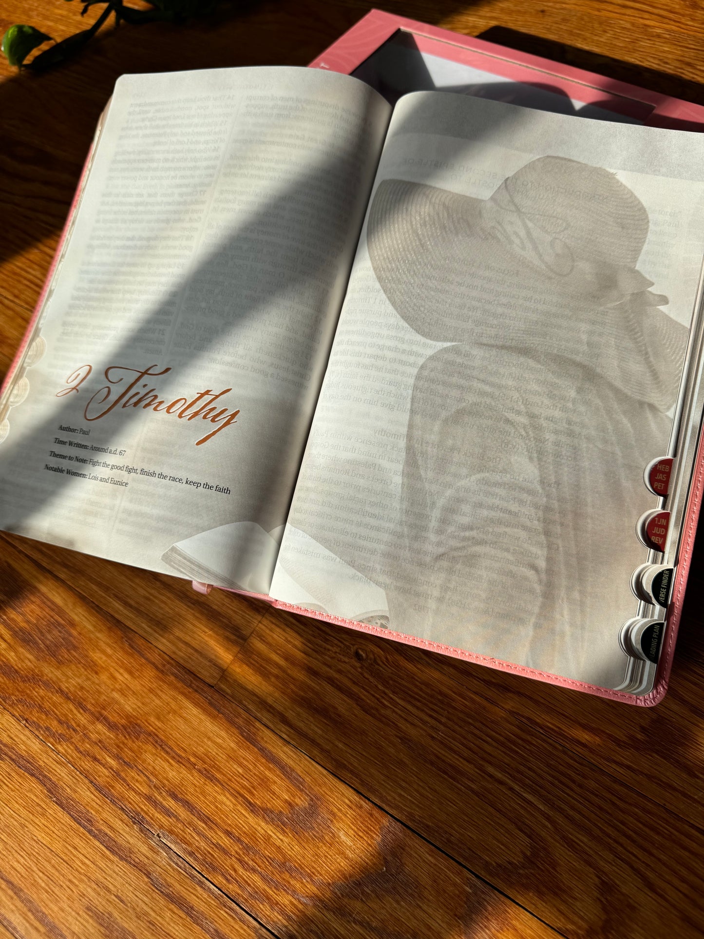The New Women of Color Study Bible - Paperback