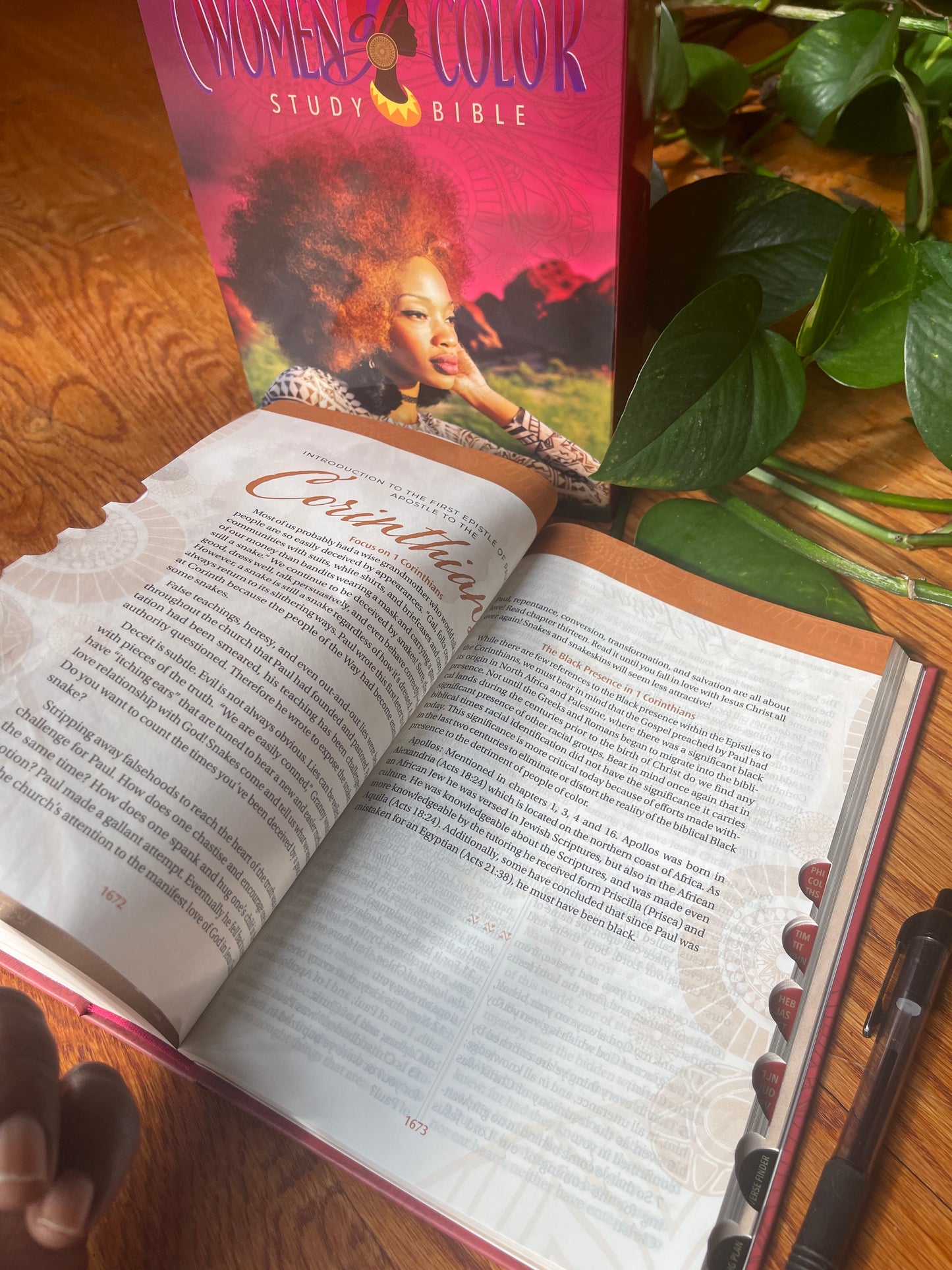 The New Women of Color Study Bible - Paperback