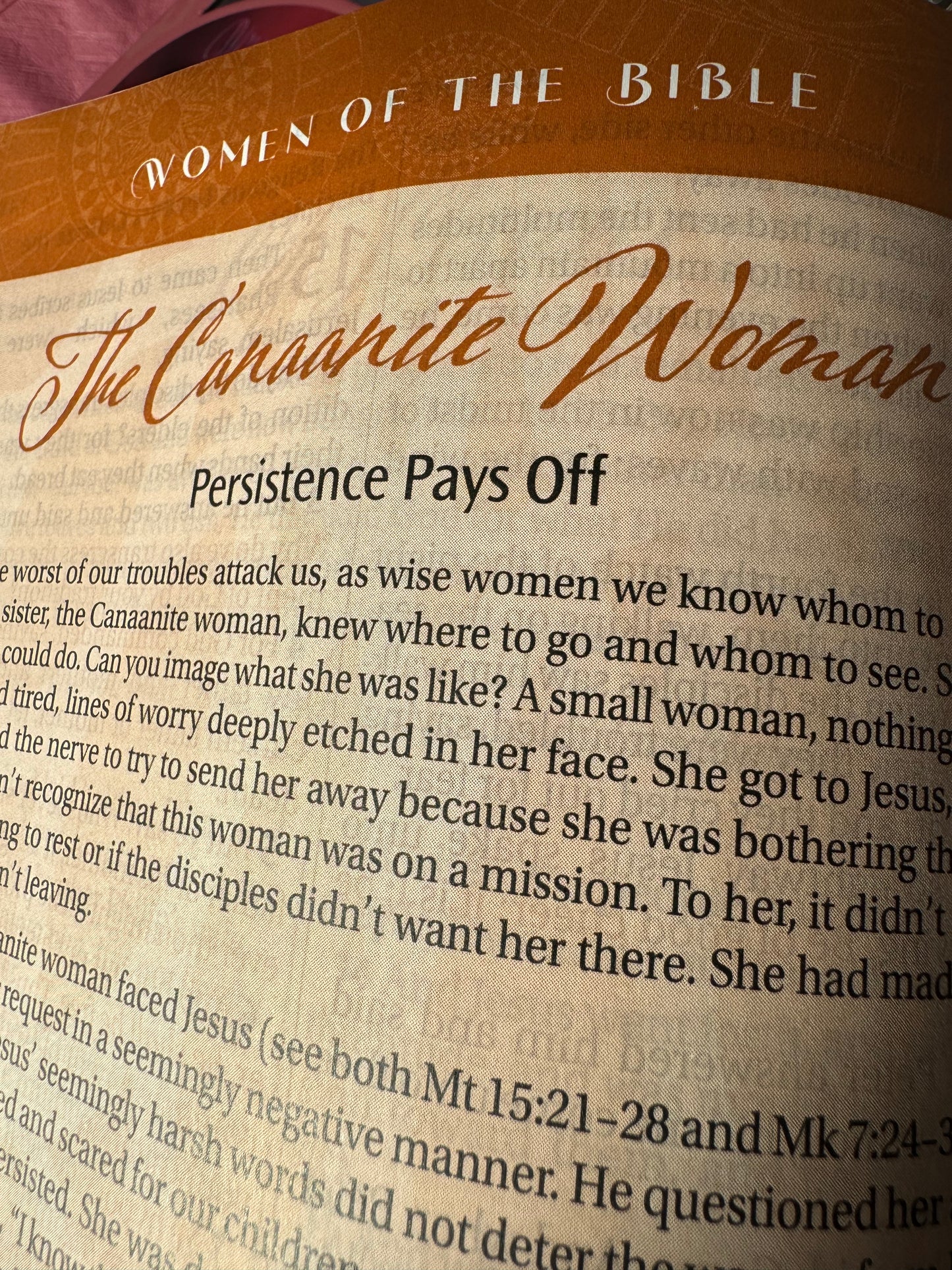 The New Women of Color Study Bible - Paperback