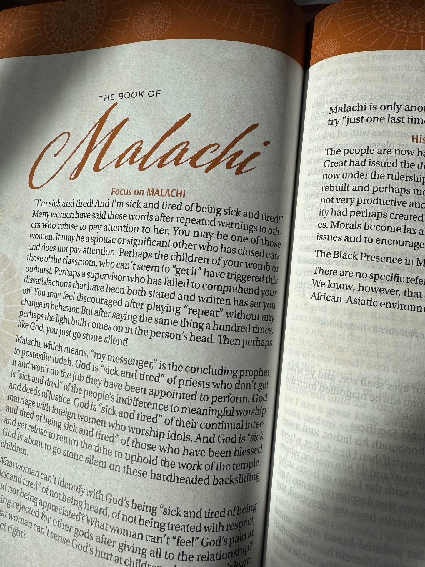 The New Women of Color Study Bible - Paperback