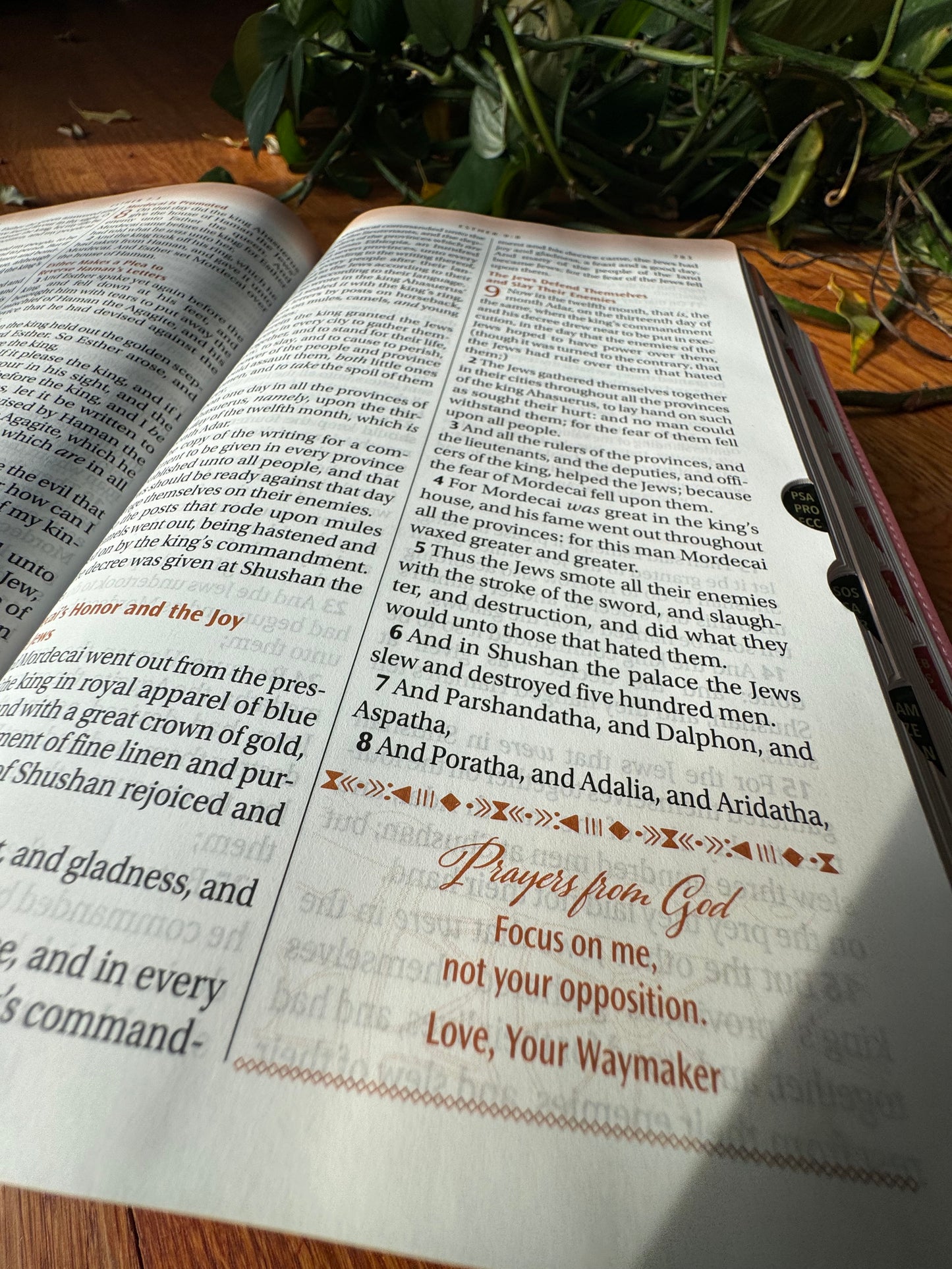 The New Women of Color Study Bible - Paperback