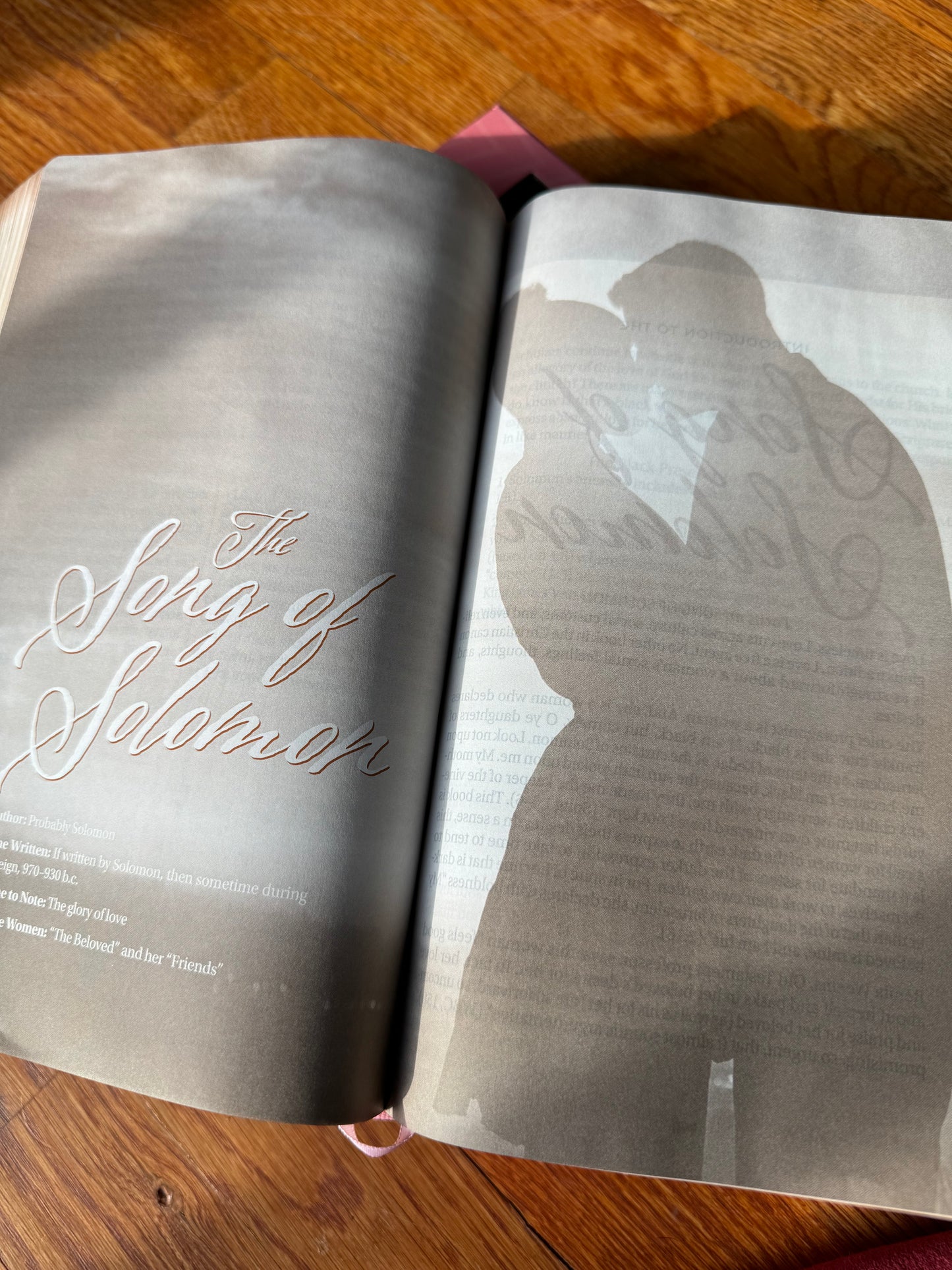The New Women of Color Study Bible - Paperback