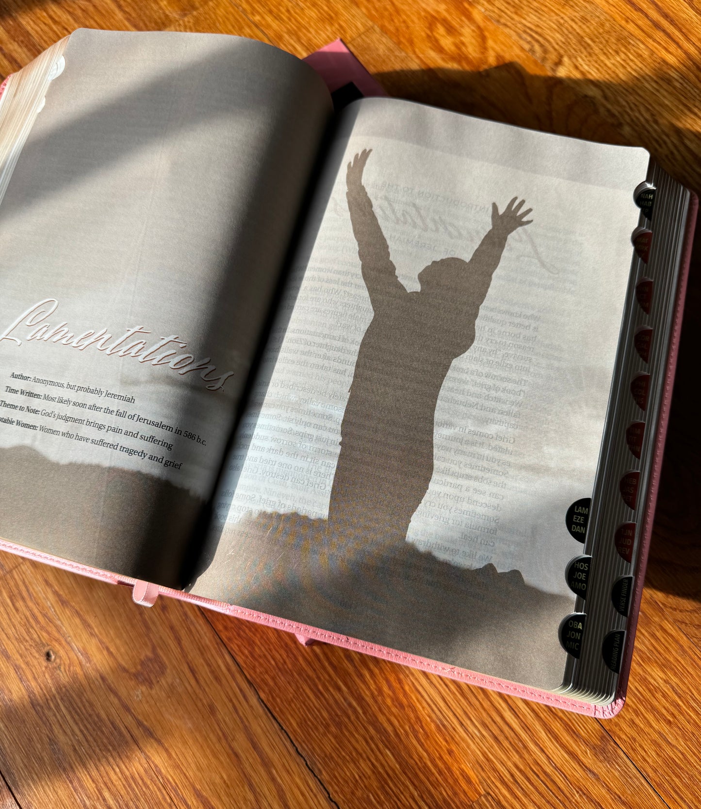 The New Women of Color Study Bible - Paperback
