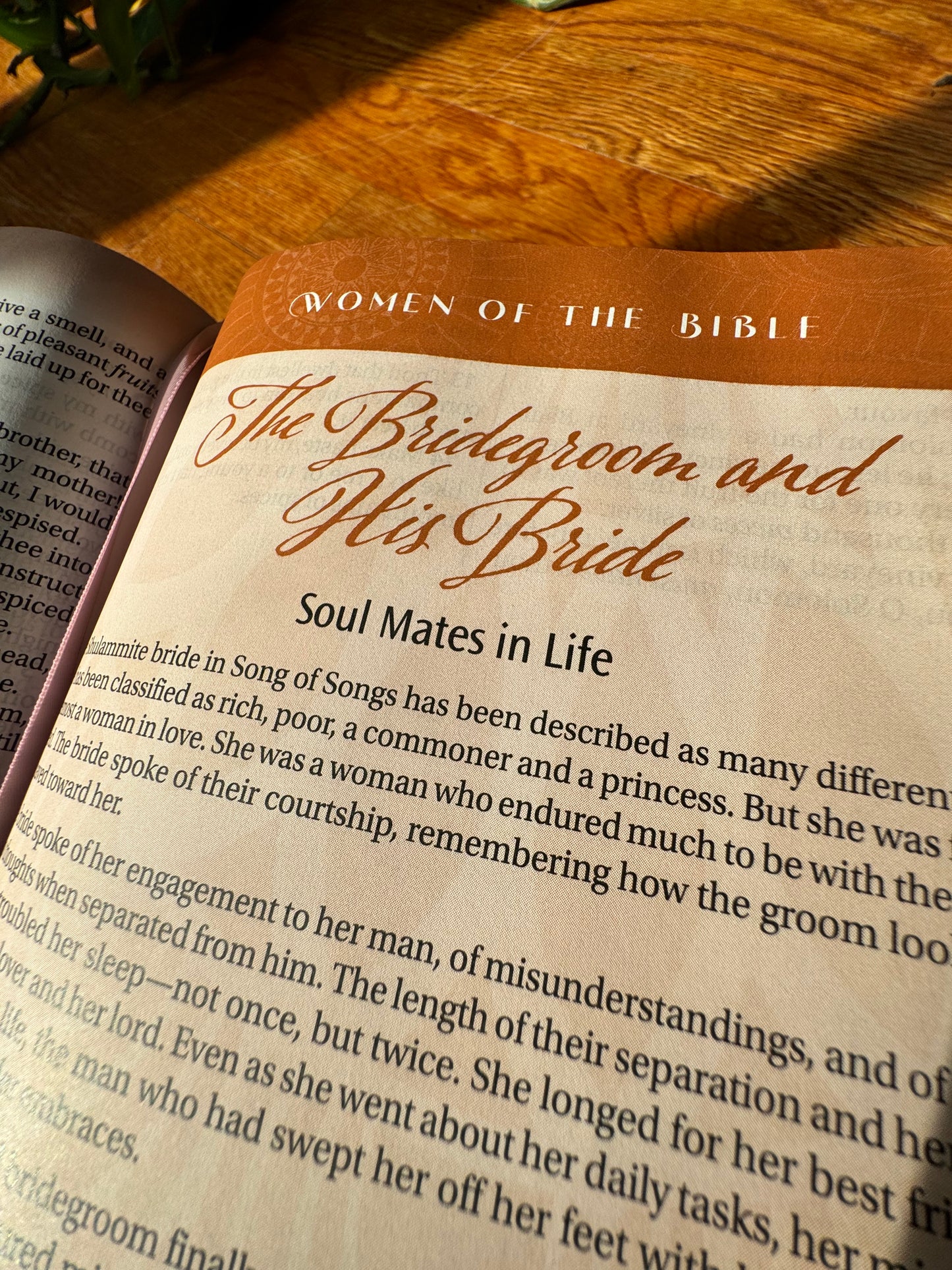 The New Women of Color Study Bible - Paperback