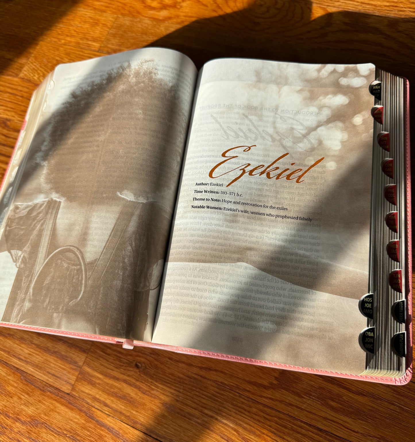 The New Women of Color Study Bible Purple Luxleather Edition