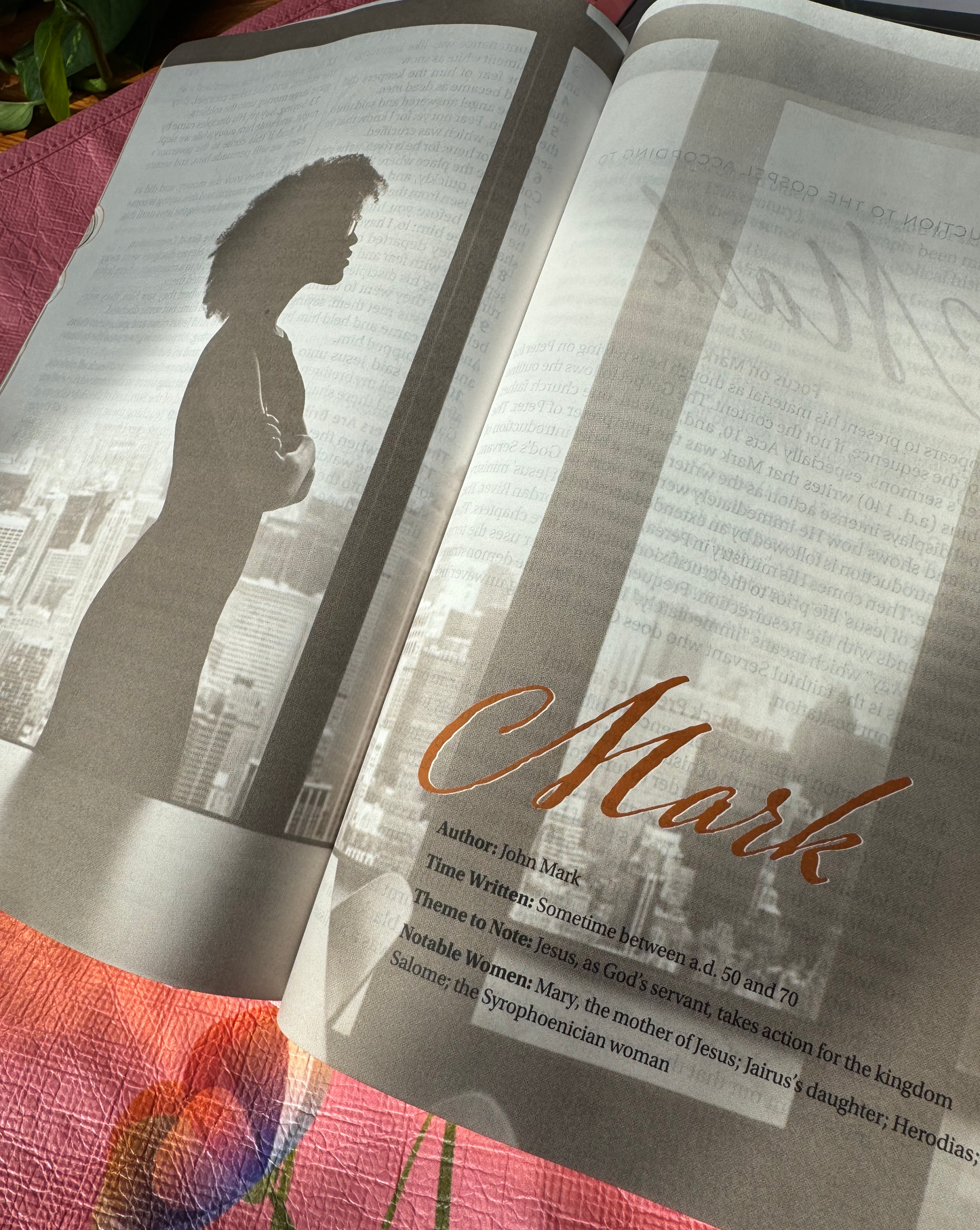 The New Women of Color Study Bible - Paperback
