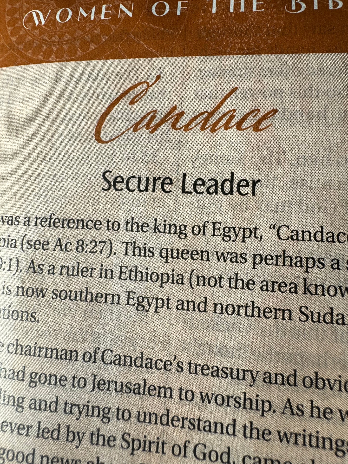 The New Women of Color Study Bible - Purple Luxleather Edition