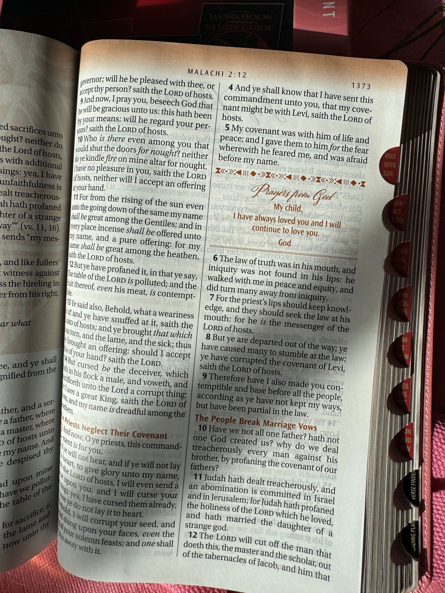 The New Women of Color Study Bible - Paperback
