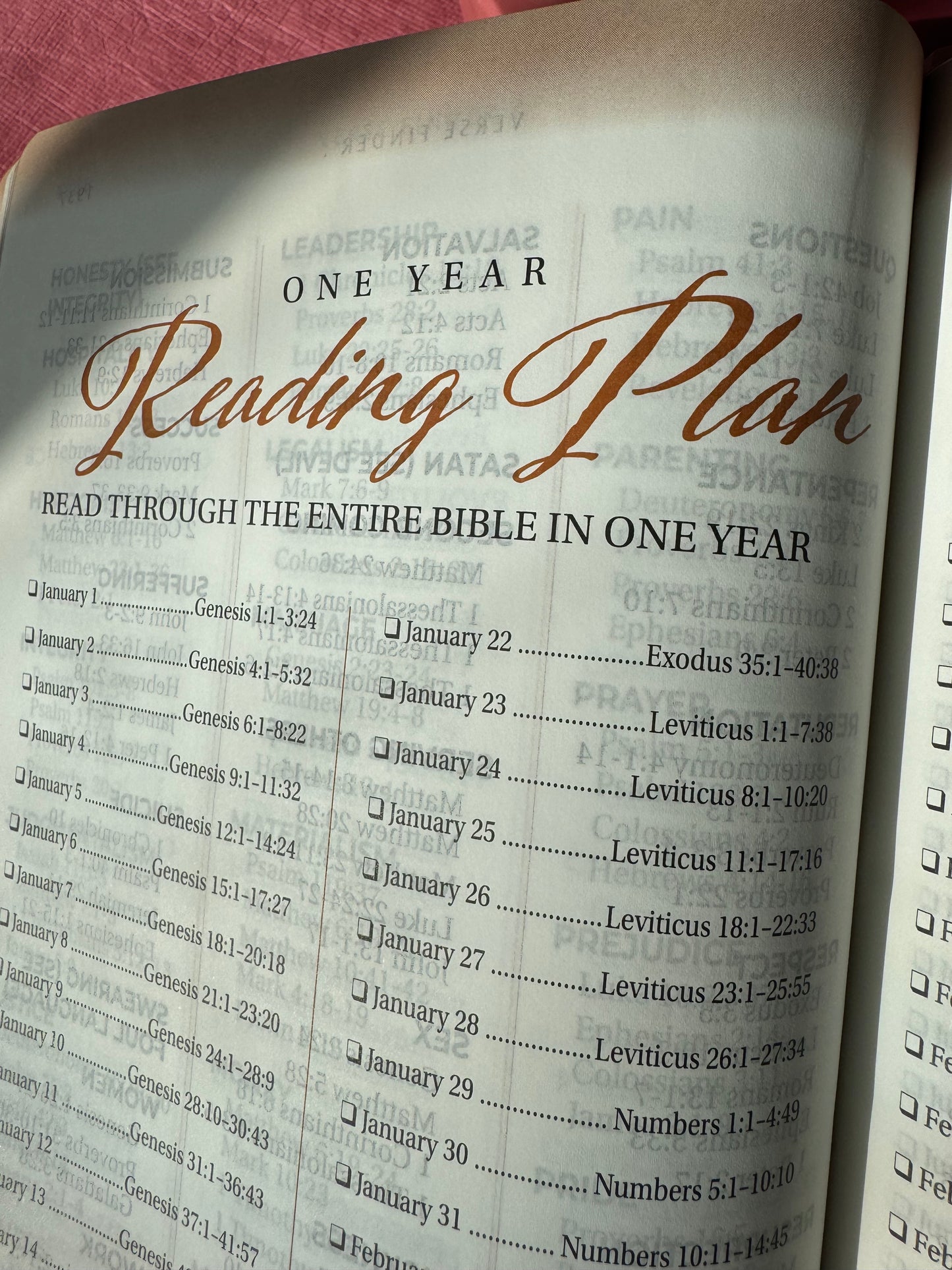 The New Women of Color Study Bible - Paperback