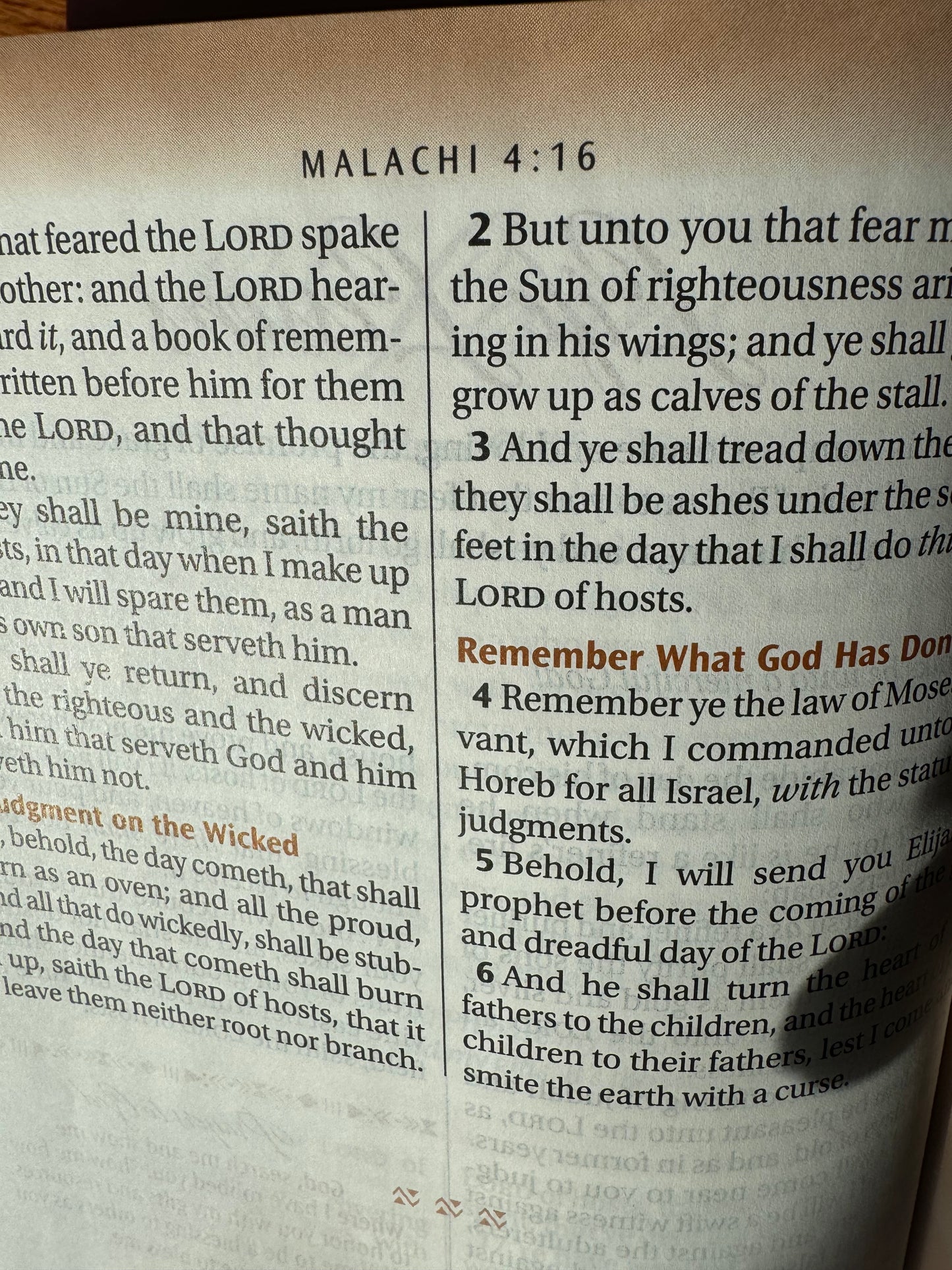 The New Women of Color Study Bible Purple Luxleather Edition