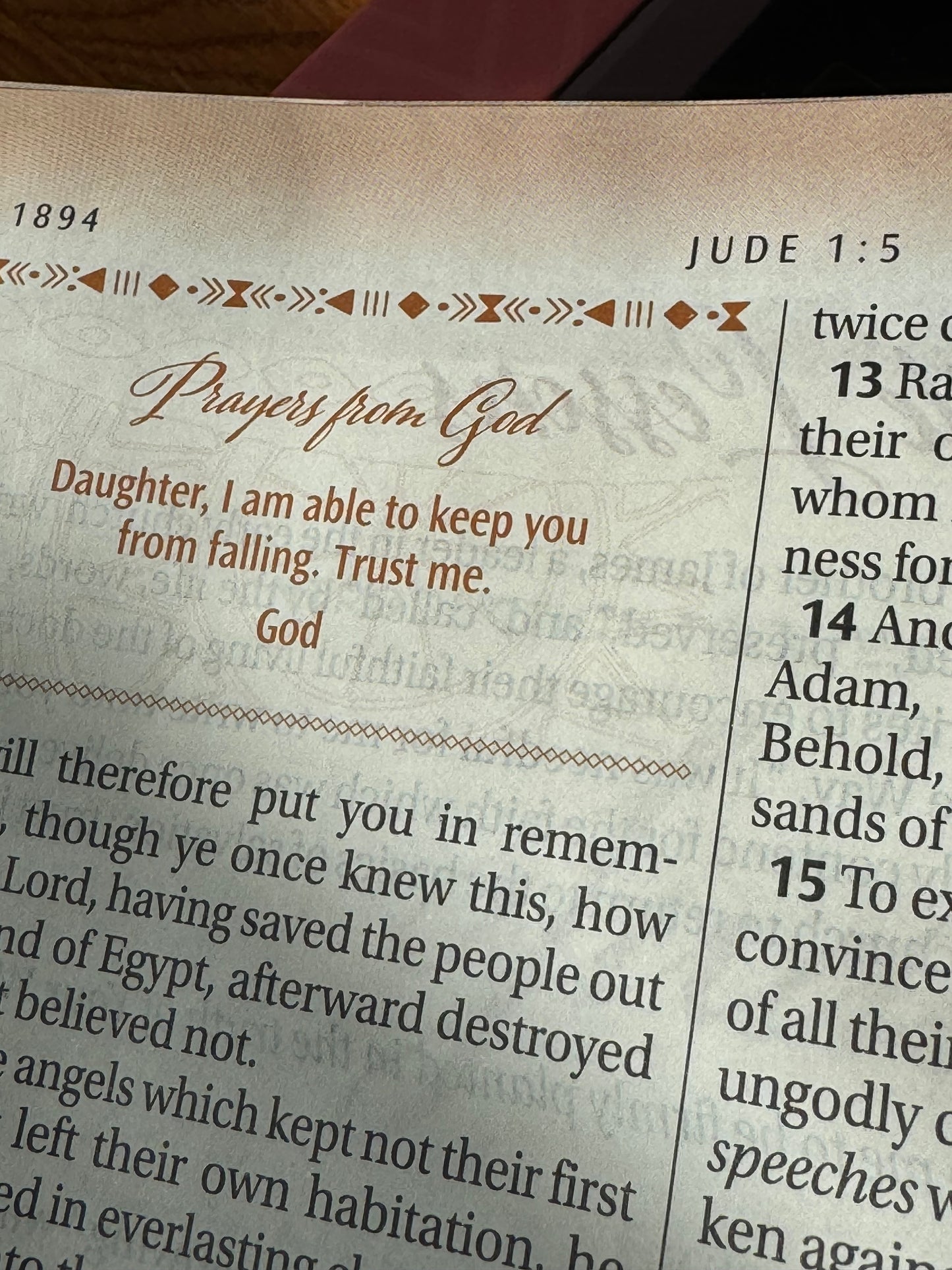 The New Women of Color Study Bible Purple Luxleather Edition