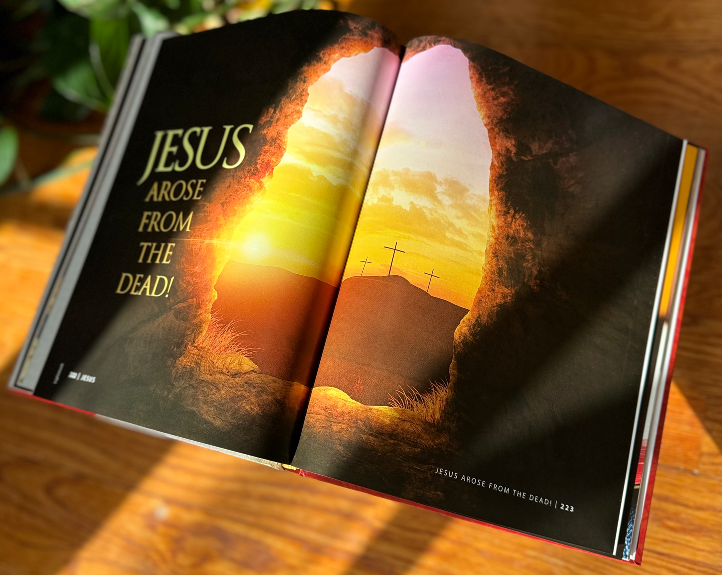 Jesus Book