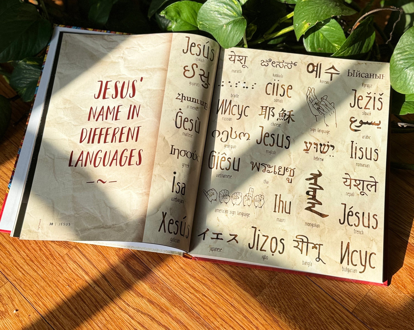 Jesus Book