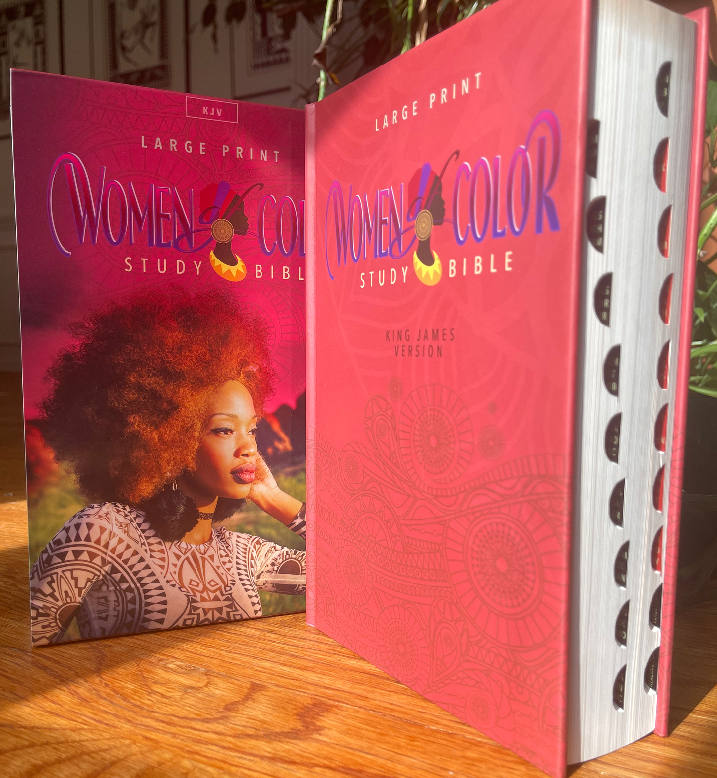 The New Women of Color Study Bible - Paperback
