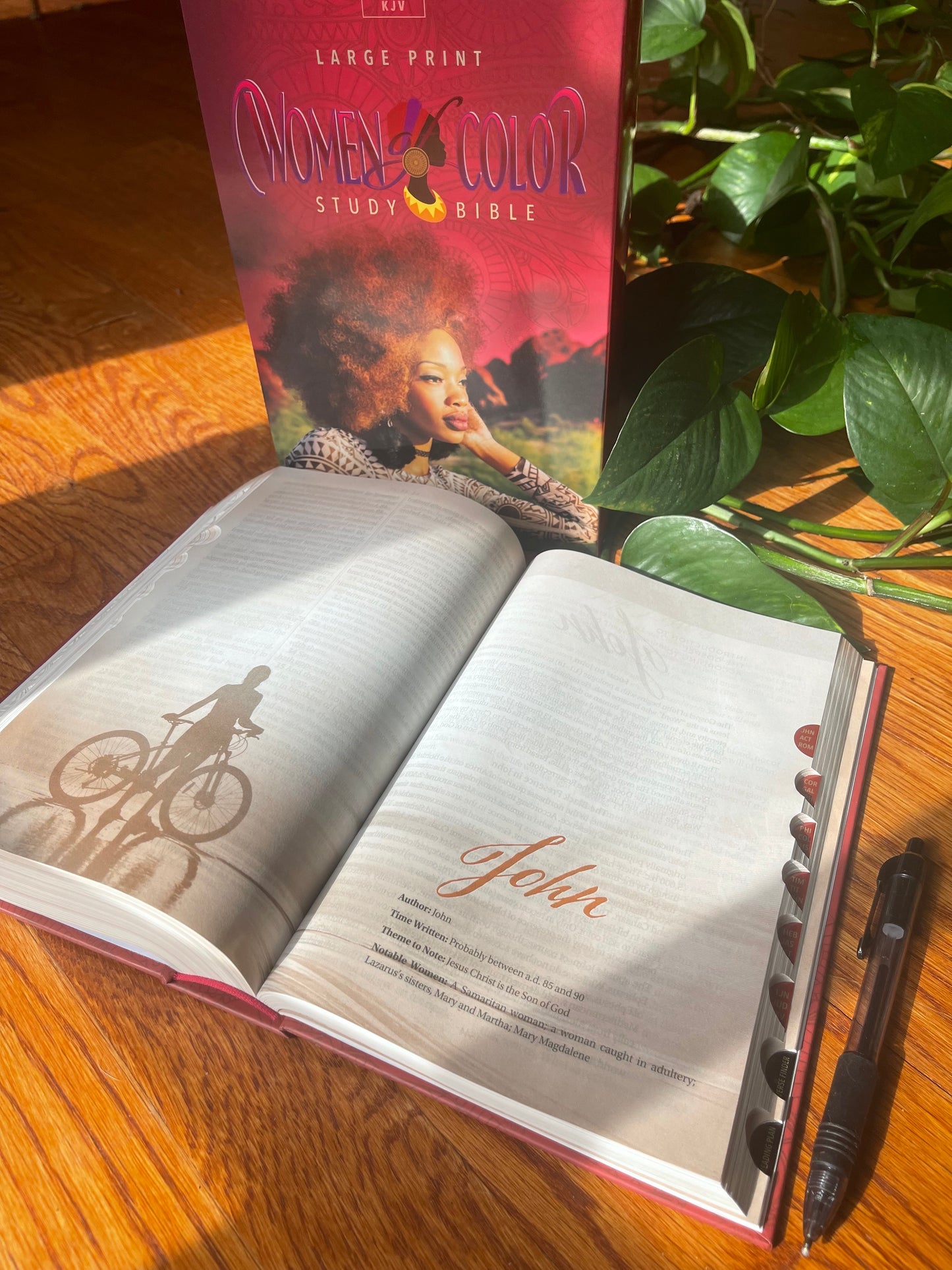 1 Workbook + 1 Book + 1 Bible