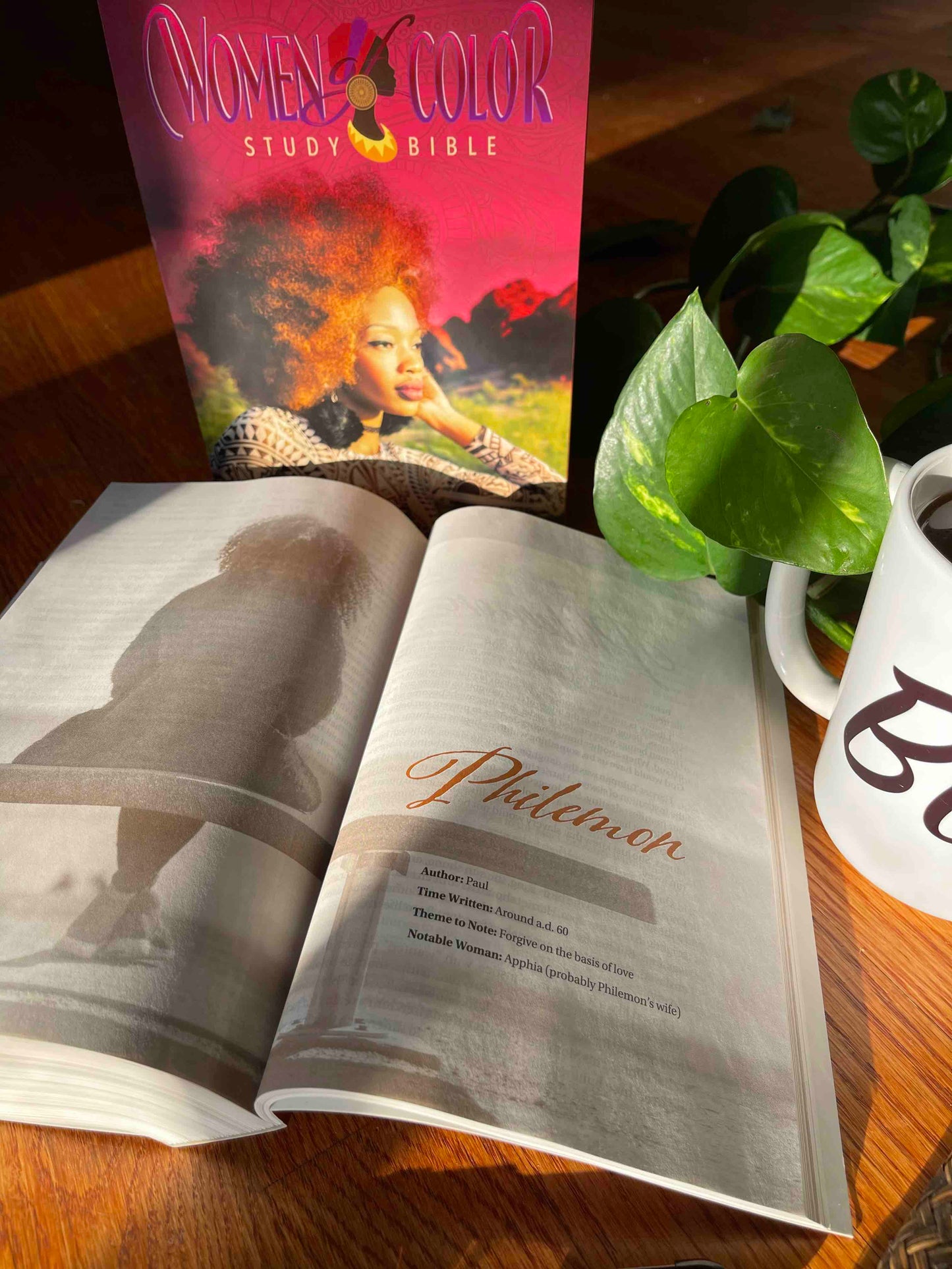 1 Workbook + 1 Book + 1 Bible