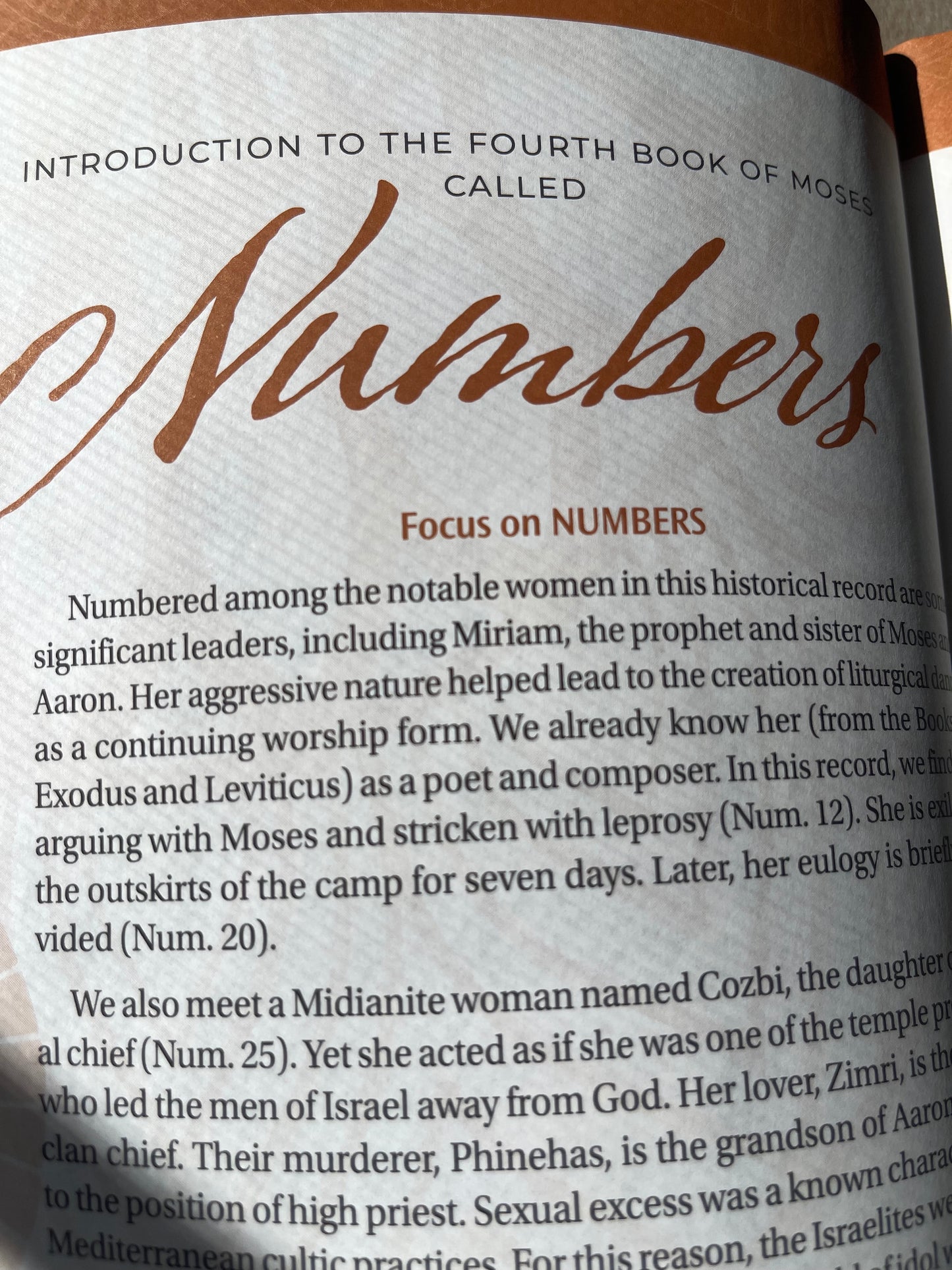 The New Women of Color Study Bible - Paperback