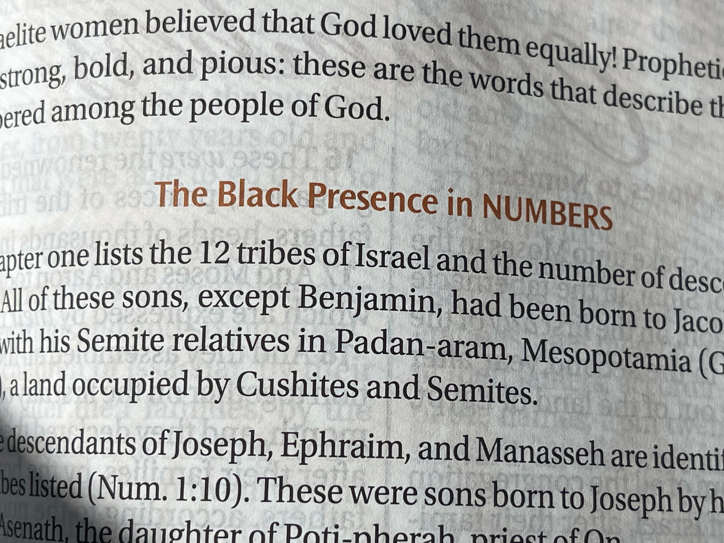The New Women of Color Study Bible - Paperback