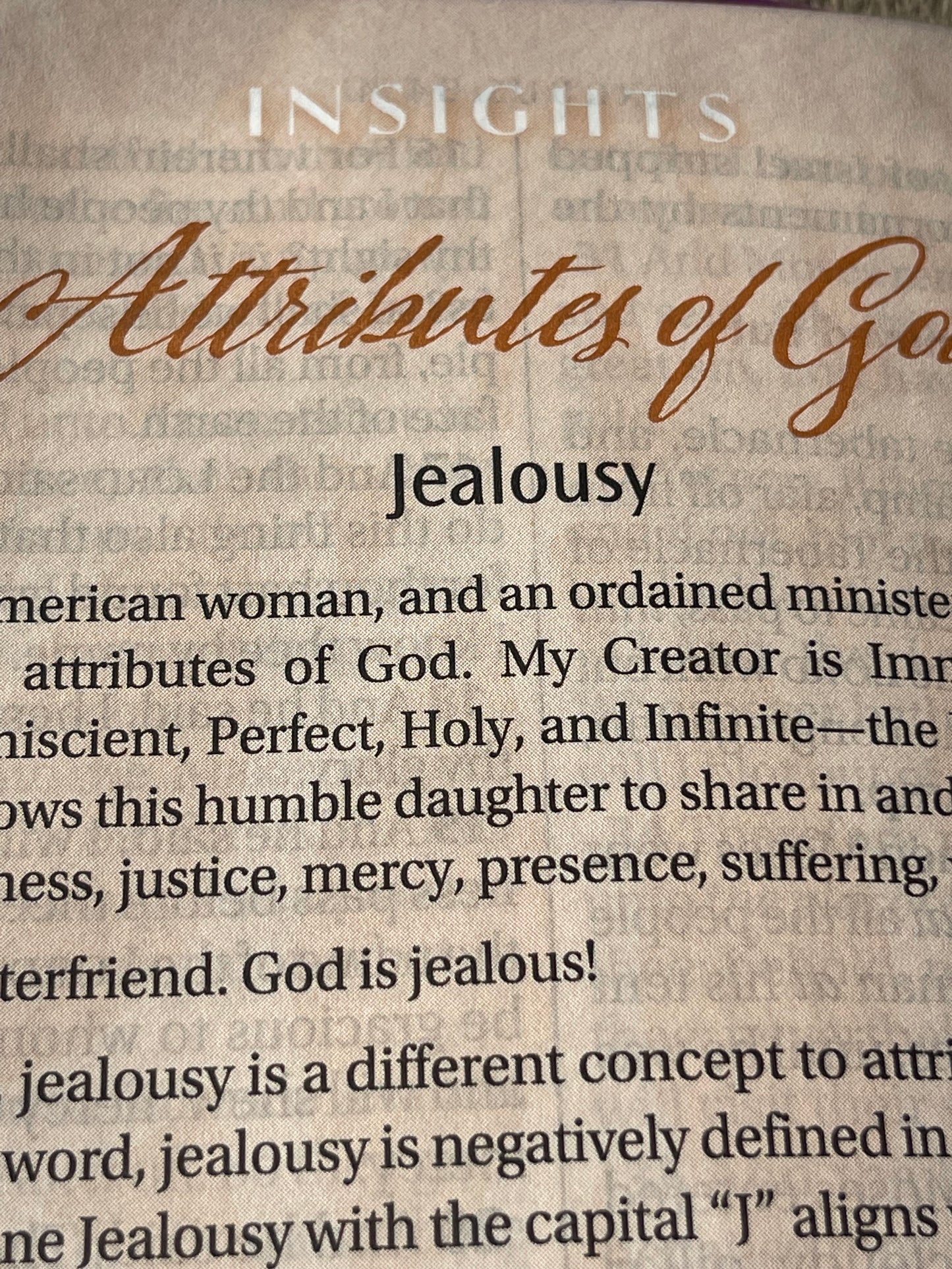 The New Women of Color Study Bible - Purple Luxleather Edition