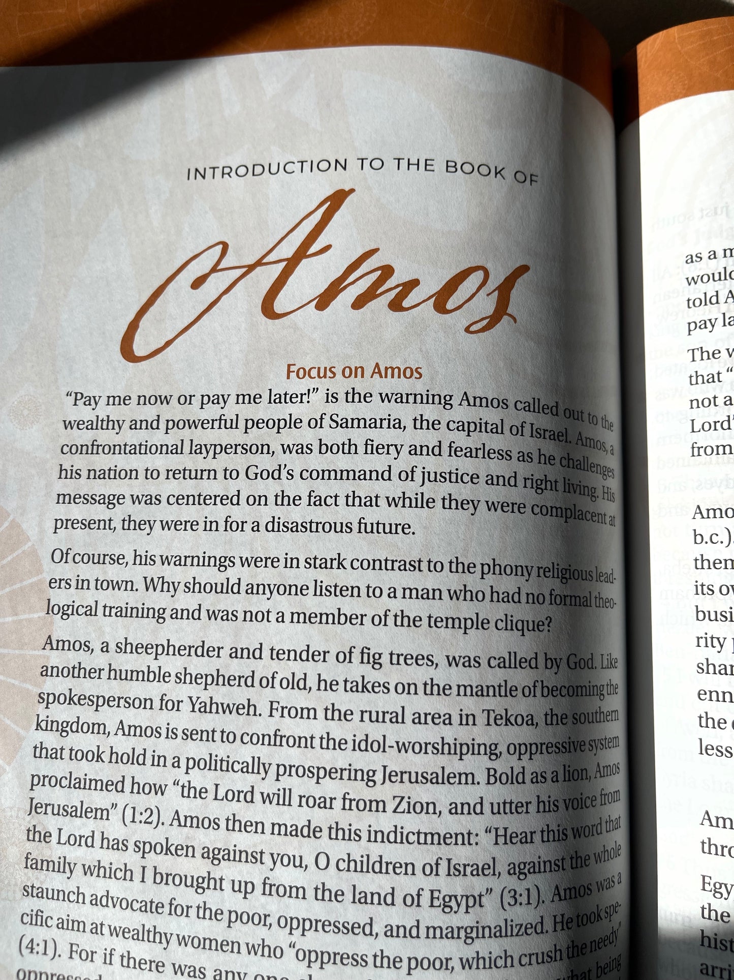 The New Women of Color Study Bible - Purple Luxleather Edition