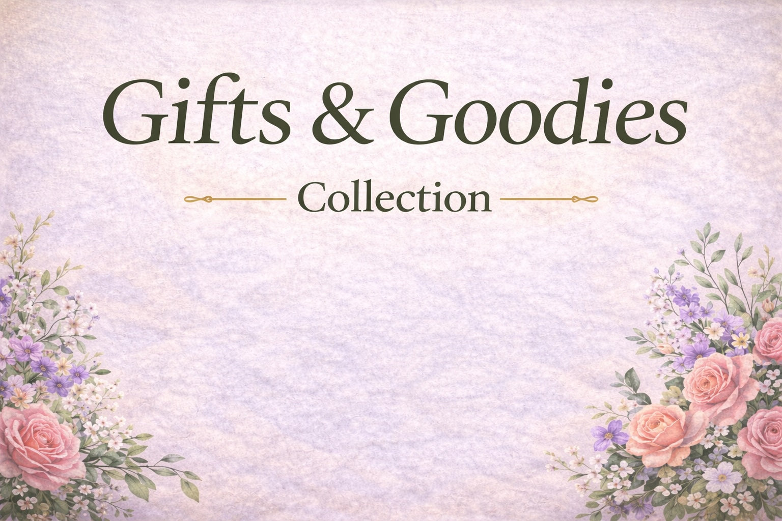 Gifts & Goodies – Women of Color Study Bibles and More