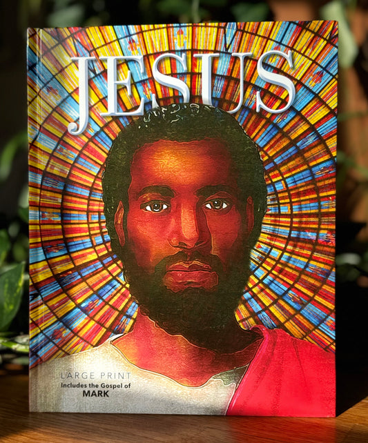 Jesus Book - Bundle of 6 books